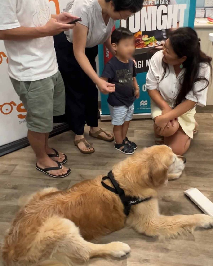 Dozer-SASH-Sophie's-Legacy-photos-7